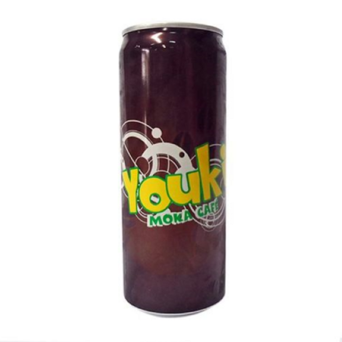 Moka canette 33cl